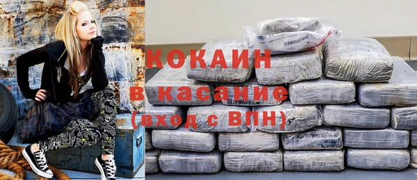 стаф Алексин