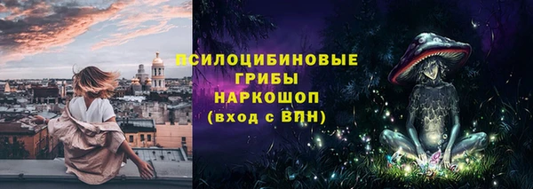 круглые Алзамай