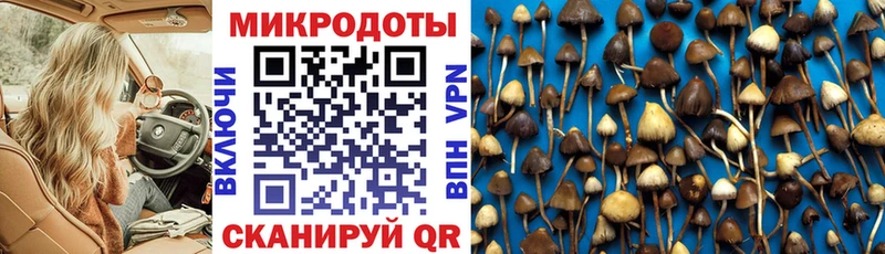 Псилоцибиновые грибы ЛСД  Ипатово 